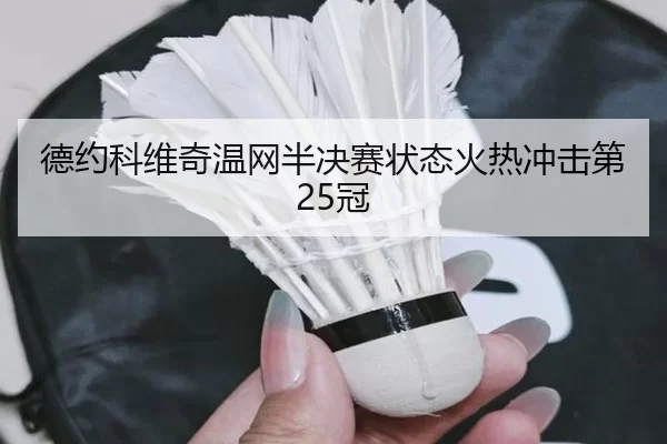 de-yue-ke-wei-qi-wen-wang-ban-jue-sai-zhuang-tai-huo-re-chong-ji-di-guan-2-882.jpg
