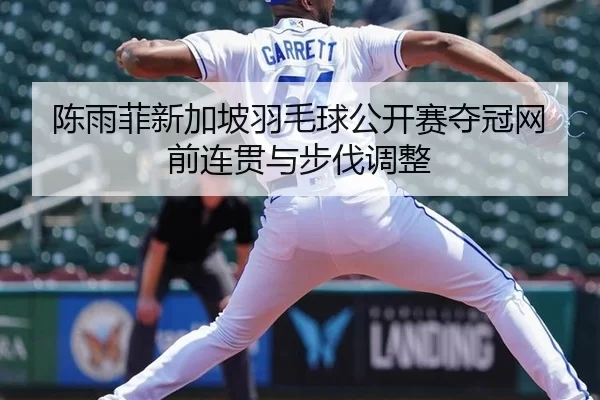 陈雨菲新加坡羽毛球公开赛夺冠网前连贯与步伐调整
