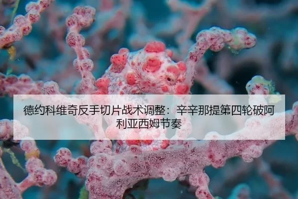 de-yue-ke-wei-qi-fan-shou-qie-pian-zhan-shu-tiao-zheng-xin-xin-na-ti-di-si-lun-po-a-li-ya-xi-mu-jie-zou-2-827.jpg